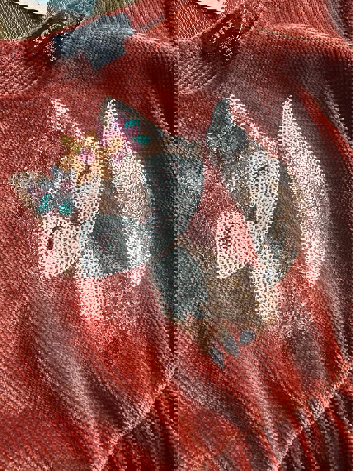 NWT Zunie kids dress with fox size 6X